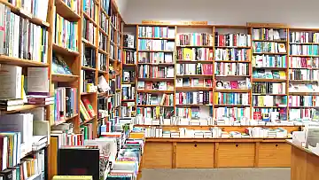 Bücher im Flensburger Buchladen